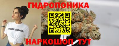 apvp Гусев