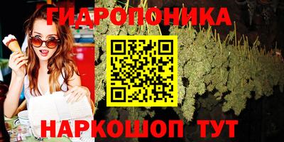 apvp Гусев