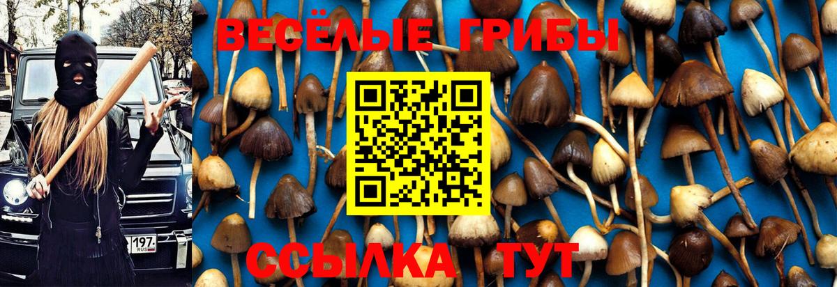 Шелехов  Галлюциногенные грибы Magic Shrooms  Псилоцибиновые грибы ЛСД  Вход с VPN 